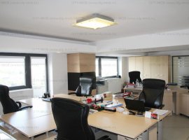  APARTAMENT 8 camere  VICTORIEI (Birouri / Rezidenta de lux )