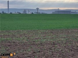 Vanzare teren agricol 15000 mp, Nord, Bacau