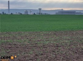 Vanzare teren agricol 15000 mp, Nord, Bacau