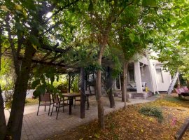 Vila 4 camere paradis verde in Domnesti