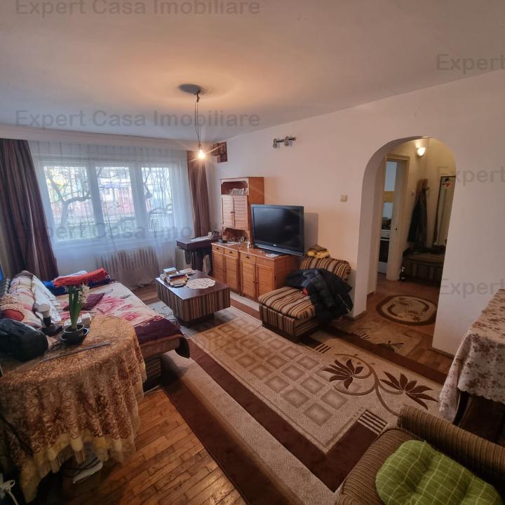 https://expert-casa.ro/ro/vanzare-apartments-2-camere/iasi/apartament-2cam-sd-cantemir-bulevard-parter-50-mp-48500-e_9261