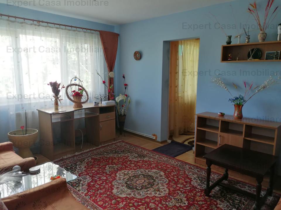 https://expert-casa.ro/ro/vanzare-apartments-2-camere/iasi/apartament-2-nd-mircea-cel-batran-alexandru_10041