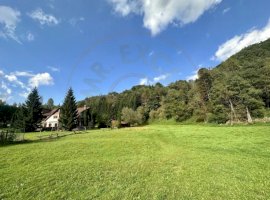 0% Comision Teren 2500 mp-zona turistica- Rucar-Satic-Arges!