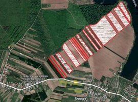 29 hectare teren intravilan Bulbucata, fotovoiltaic , Giurgiu