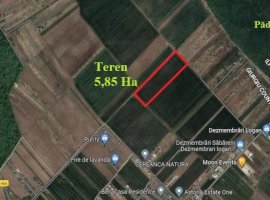 Săbăreni, teren intravilan construibil 5,85 ha, între 2 păduri