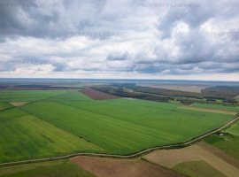 Teren arabil de 2.24 hectare în Costești