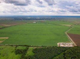 Teren arabil de 28,63 hectare în Mișca