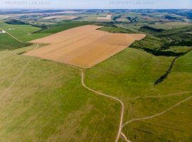 Teren arabil de 63.54 hectare în Avrămeni