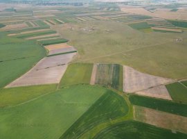 Teren arabil de 48.82 hectare în Durnești