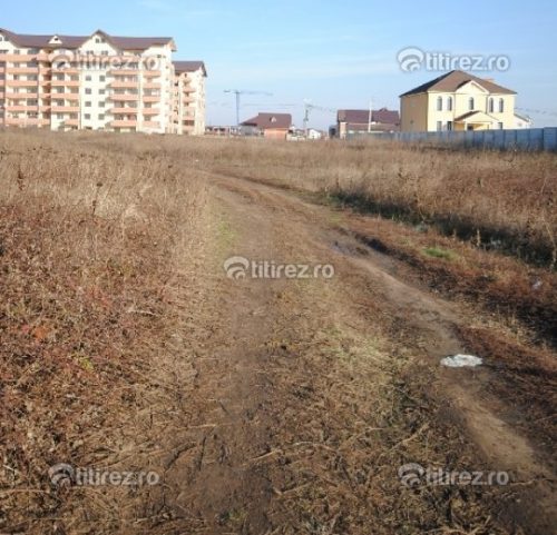 Constructorii autostrazii Deva - Orastie, notificati sa opreasca lucrarile