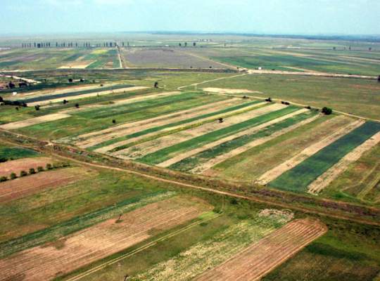 Guvernul amana decizia privind retrocedarile terenurilor agricole si forestiere