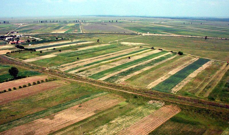 Guvernul amana decizia privind retrocedarile terenurilor agricole si forestiere